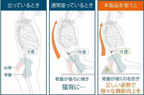 正しい姿勢から健康に 仙骨サポート座布団 商品一覧 丸菱 工業株式会社